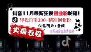 抖音11月最新狂揽创业粉秘籍，轻松日引300+精准创业粉，仅需图片+音频，轻松搞定创业类视频-第一资源库