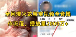 全网爆火龙宝宝视频全套操作流程,播放量2000万+-第一资源库