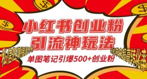 小红书创业粉引流神玩法，单图笔记引爆500+精准创业粉丝，私信狂潮接连不断-第一资源库