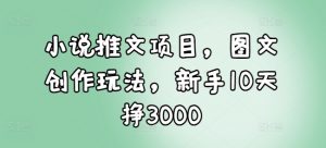 小说推文项目,图文创作玩法,新手10天挣3000-第一资源库