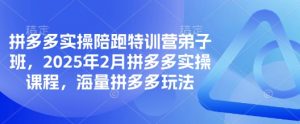 拼多多实操陪跑特训营弟子班,2025年2月拼多多实操课程,海量拼多多玩法-第一资源库