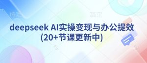 deepseek AI实操变现与办公提效(20+节课更新中)-第一资源库