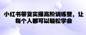 小红书带货实操高阶训练营，让每个人都可以轻松学会-第一资源库