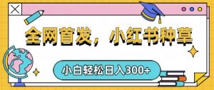 小红书种草，手机项目，日入3张，复制黏贴即可，可矩阵操作，动手不动脑【揭秘】-第一资源库