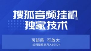 【搜狐音频挂G】独家技术，可矩阵可放大，红利期稳定月入8k【揭秘】-第一资源库