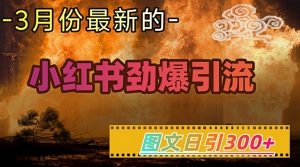 小红书超劲爆引流手段,图文日引300+轻松变现1W-第一资源库
