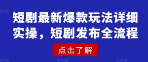 短剧最新爆款玩法详细实操，短剧发布全流程-第一资源库