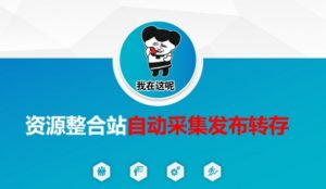 资源整合站自动采集发布转存，解放双手-第一资源库