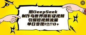 用DeepSeek制作鸟世界摄影级视频，引爆短视频流量，单日变现1k-第一资源库