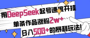 用DeepSeek起号速度开挂，单条作品涨粉2w+，日入5张+的暴利玩法-第一资源库