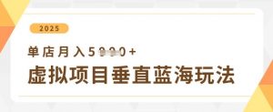 虚拟项目垂直玩法，实现单店月入5k+-第一资源库