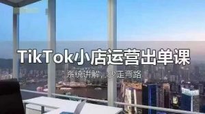 TikTok小店运营出单课，从开店选品、运营出单、发货回款，进行全流程讲解-第一资源库