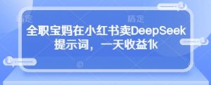 全职宝妈在小红书卖DeepSeek提示词，一天收益1k-第一资源库