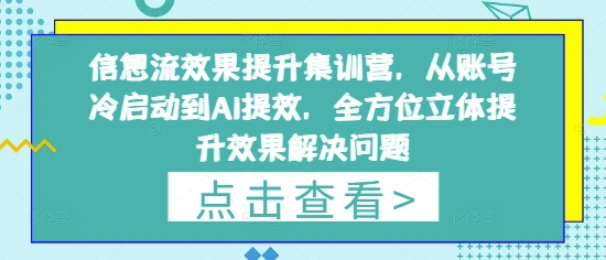 信息流效果提升集训营，从账号冷启动到AI提效，全方位立体提升效果解决问题-第一资源库