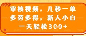 视频审核员，几秒一单，不限时间，不限地点，多做多得，新人小白一天轻松几张+【揭秘】-第一资源库