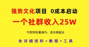 强势文化项目，一个社群收入25个W，0成本启动，可矩阵批量操作，原创详细实操教程-第一资源库