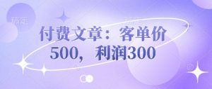 付费文章：客单价500，利润300-第一资源库