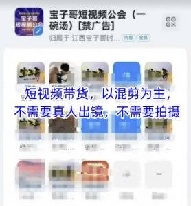 宝子哥头部团队短视频带货，以混剪为主，不需要真人出镜，不需要拍摄-第一资源库