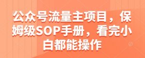 公众号流量主项目，保姆级SOP手册，看完小白都能操作-第一资源库