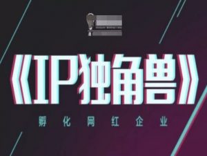 IP独角兽，孵化网红企业，ip教程-第一资源库