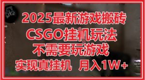 2025最新游戏搬砖，CSGO挂G，不需要玩游戏，实现真挂G，月入1W+【揭秘】-第一资源库