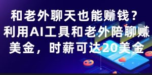 和老外聊天也能挣钱？利用AI工具和老外陪聊挣美金，时薪可达20刀-第一资源库