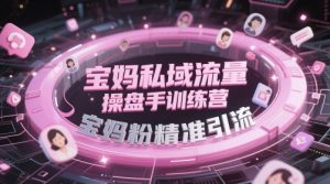宝妈私域流量操盘手训练营,宝妈粉精准引流-第一资源库