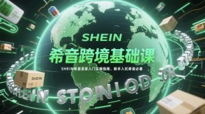 希音跨境基础课,SHEIN希音卖家入门实操指南,新手入坑希音必看-第一资源库