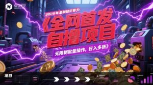 全网首发,2025年最新稳定暴力全自动自撸项目,无限制批量操作,日入多张【揭秘】-第一资源库