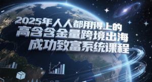 2025年人人都用得上的高含金量跨境出海成功致富系统课程-第一资源库