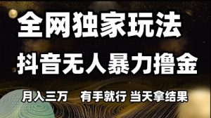 全网独家玩法抖音无人暴力撸金，月入3W，有手就行，当天拿结果【揭秘】-第一资源库