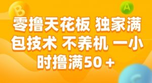 零撸天花板，独家满包技术 不养机 一小时撸满50+【揭秘】-第一资源库