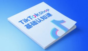 TikTok小店基础认知课，助力学员从 0 到 1 掌握 TikTok 电商运营全链路认知-第一资源库