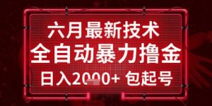 六月最新技术全自动暴力撸金，稳定日入2k+包起号，长期稳定【揭秘】-第一资源库