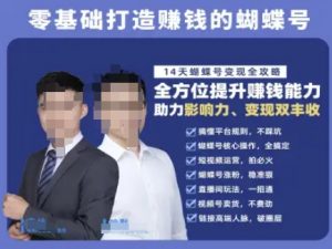 蝴蝶号专栏-视频号运营教程，零基础打造挣钱的蝴蝶号，14天蝴蝶号变现全攻略-第一资源库