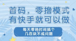 首码零撸项目，有快手就可以做，每天业务时间搞个几张不是问题【揭秘】-第一资源库