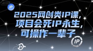 2025网创类IP课，项目会死IP永生，可操作一辈子-第一资源库