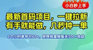 最新首码项目，一键拉新有手就能做，几秒钟一单，1个小时单号可60+，矩阵批量做每天5张【揭秘】-第一资源库