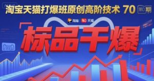 淘宝天猫打爆班原创高阶技术第70期：标品干爆-第一资源库