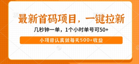 最新首码项目，操作最简单，收益高，一键拉新，1个小时单号可50+，小项目认真做每天5张+收益【揭秘】-第一资源库
