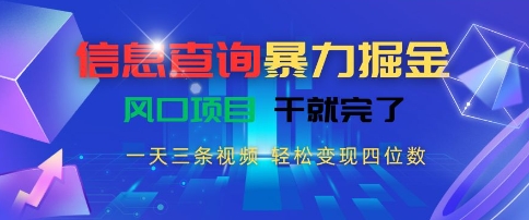 信息查询暴力掘金，一天三条视频，轻松变现四位数，风口项目干就完了【揭秘】-第一资源库