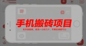 手机搬砖项目,有手就能做,亲测一小时几十,苹果安卓都可以-第一资源库
