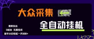 大众采集全自动玩法,新手小白轻松一天5张+,操作简单零成本【揭秘】-第一资源库