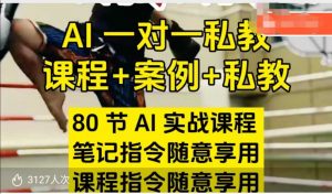 AI指令实战课，课程+案例，80节AI实战课程，笔记指令随意享用，课程指令随意享用（更新7月）-第一资源库