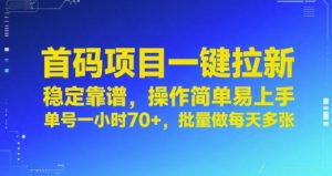 首码项目一键拉新，稳定靠谱，操作简单易上手，单号一小时70+，批量做每天多张【揭秘】-第一资源库