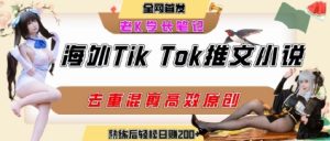 海外tiktok小说推文暴力项目，高停留率，高转化率，上手后一天搞顿饭钱不是问题-第一资源库