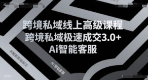 跨境私域线上高级课程，跨境私域极速成交3.0+Ai智能客服-第一资源库