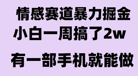 情感暴力掘金项目，新人操作一周挣了2W，长期稳定小白可做【揭秘】-第一资源库