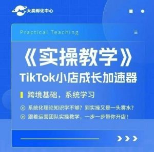 大卖家孵化中心TikTok实操课，TikTok小店成长加速器，跨境基础系统学习，一步一步带你开店-第一资源库