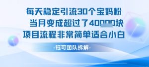 每天稳定引流30个人 当月变成超过了4个W项目流程非常简单适合小白-第一资源库